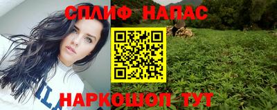 прущие грибы Малоярославец