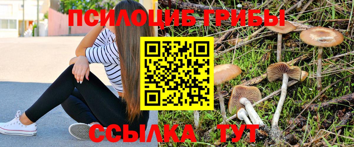 Галлюциногенные грибы GOLDEN TEACHER Бирск