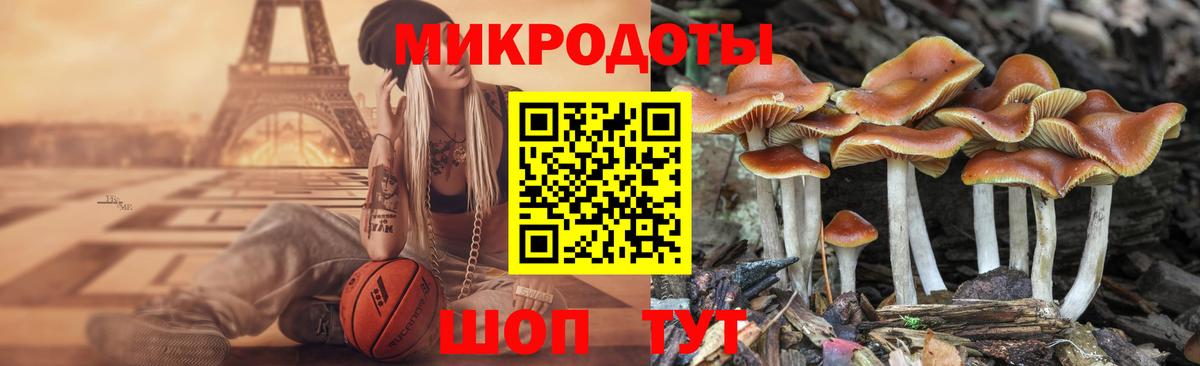 Галлюциногенные грибы Psilocybe  купить наркоту  Бирск  Вход с VPN 